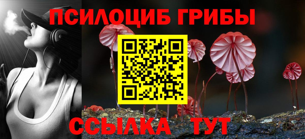 Псилоцибиновые грибы Psilocybine cubensis  Вход с VPN  Энгельс 